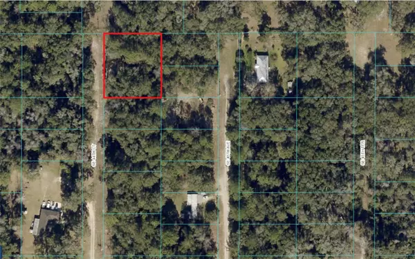 Belleview, FL 34420,0 SE 44 CT