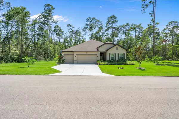 Homosassa, FL 34446,3 PETUNIAS CT