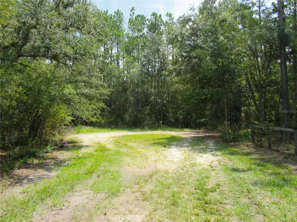 0000 SE 73RD PL,  Morriston,  FL 32668