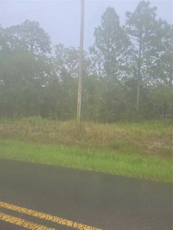 Dunnellon, FL 34431,LOT 20 IVY PLACE