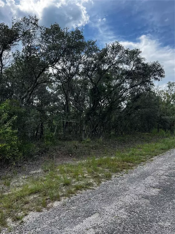 Dunnellon, FL 34431,00 SE 132 CT