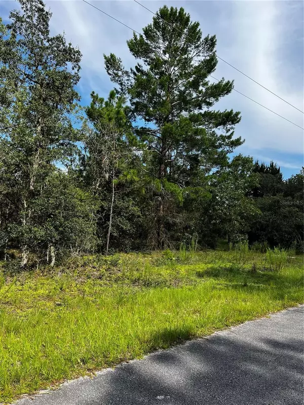 00 SE 134 TER, Dunnellon, FL 34431