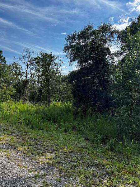 00 SE 135 CT, Dunnellon, FL 34431