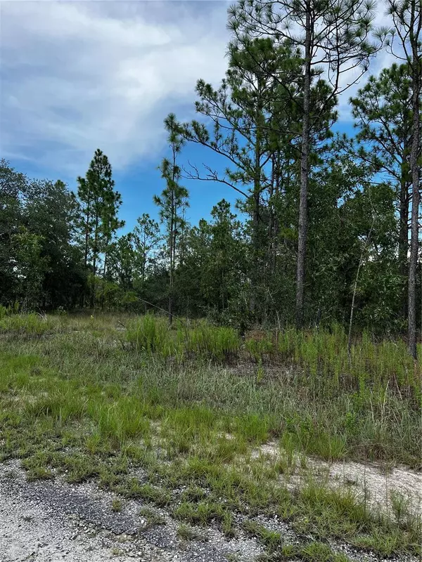 Dunnellon, FL 34431,00 SE 131 TER