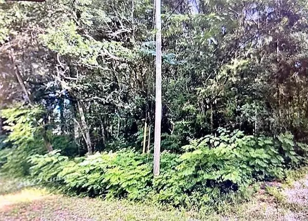 Ocala, FL 34472,TBD DOGWOOD TRAIL DRIVE