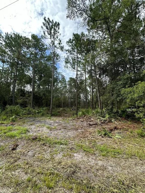 Fort Mc Coy, FL 32134,TBD NE 234TH PLACE ROAD