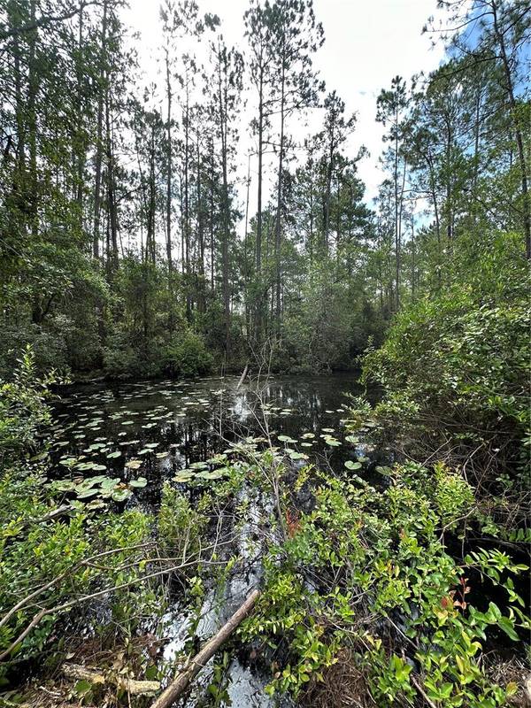 TBD NE 234TH PLACE ROAD, Fort Mc Coy, FL 32134