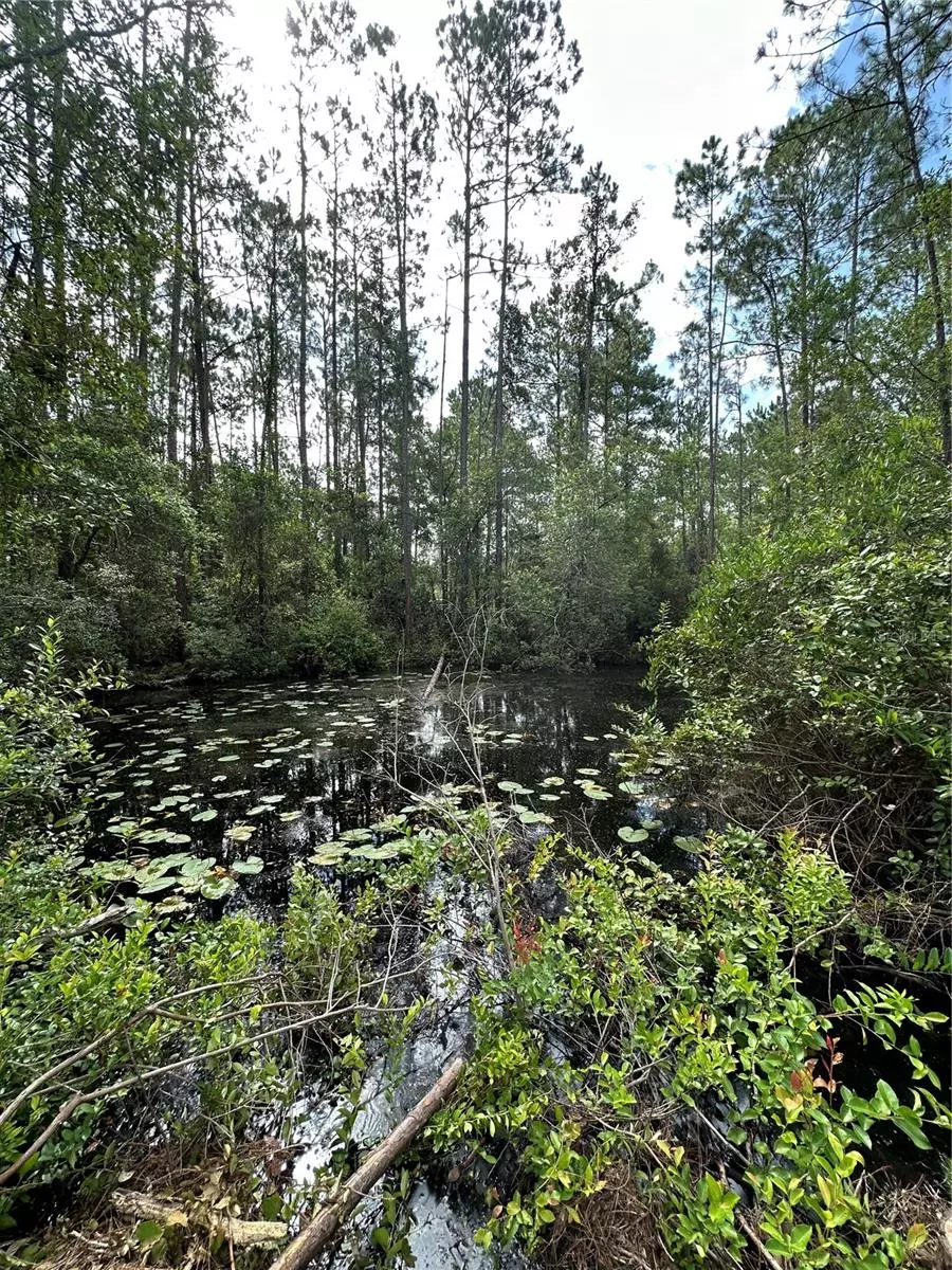 Fort Mc Coy, FL 32134,TBD NE 234TH PLACE ROAD