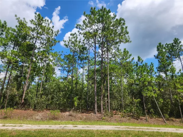 Ocala, FL 34481,TBD SW 128TH TERRACE RD