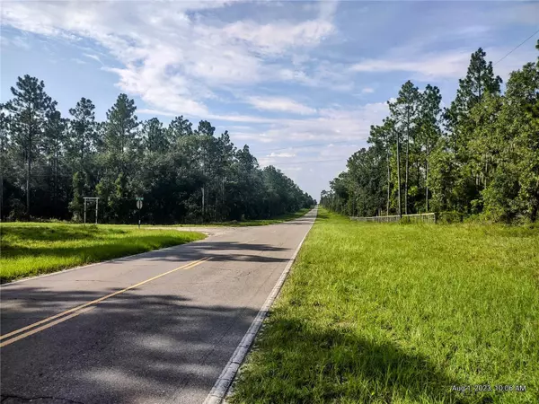 Morriston, FL 32668,0 SE HWY 337