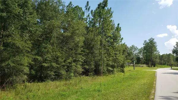 Ocala, FL 34481,00 129TH TERR RD