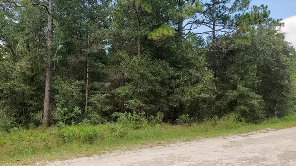 Ocala, FL 34481,00 129TH TERR RD