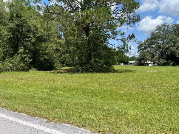 Dunnellon, FL 34431,00 SW MARINE BLVD