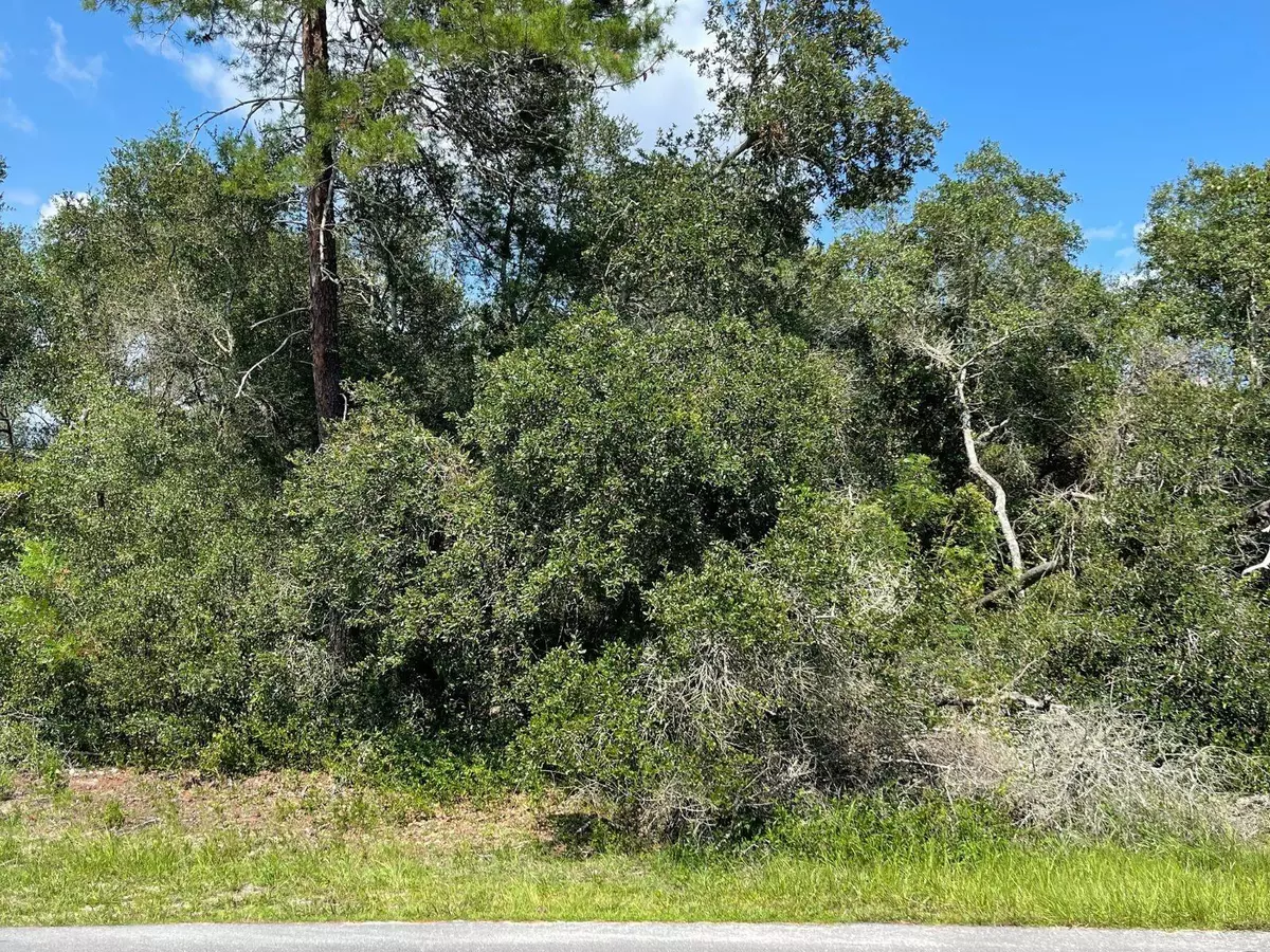 Ocala, FL 34473,0 SW 157TH LOOP