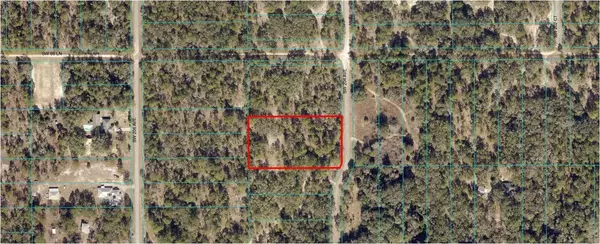 00 SW 204 AVE, Dunnellon, FL 34431