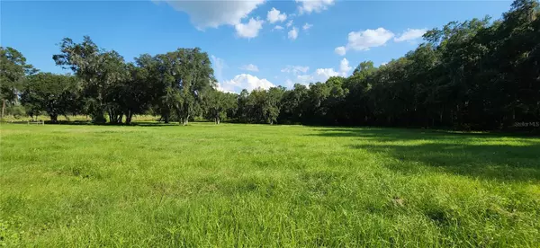 11690 NW HIGHWAY 225, Reddick, FL 32686