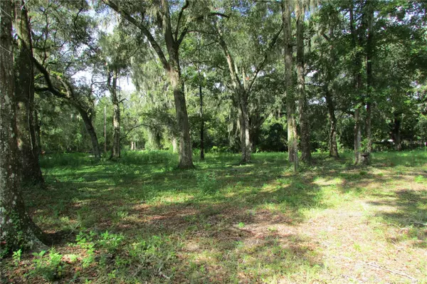 Reddick, FL 32686,12443 NW 168TH PL