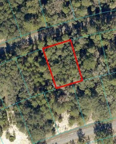 FISHER WAY PASS, Ocklawaha, FL 32179