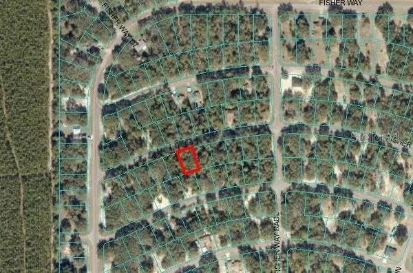 Ocklawaha, FL 32179,FISHER WAY PASS