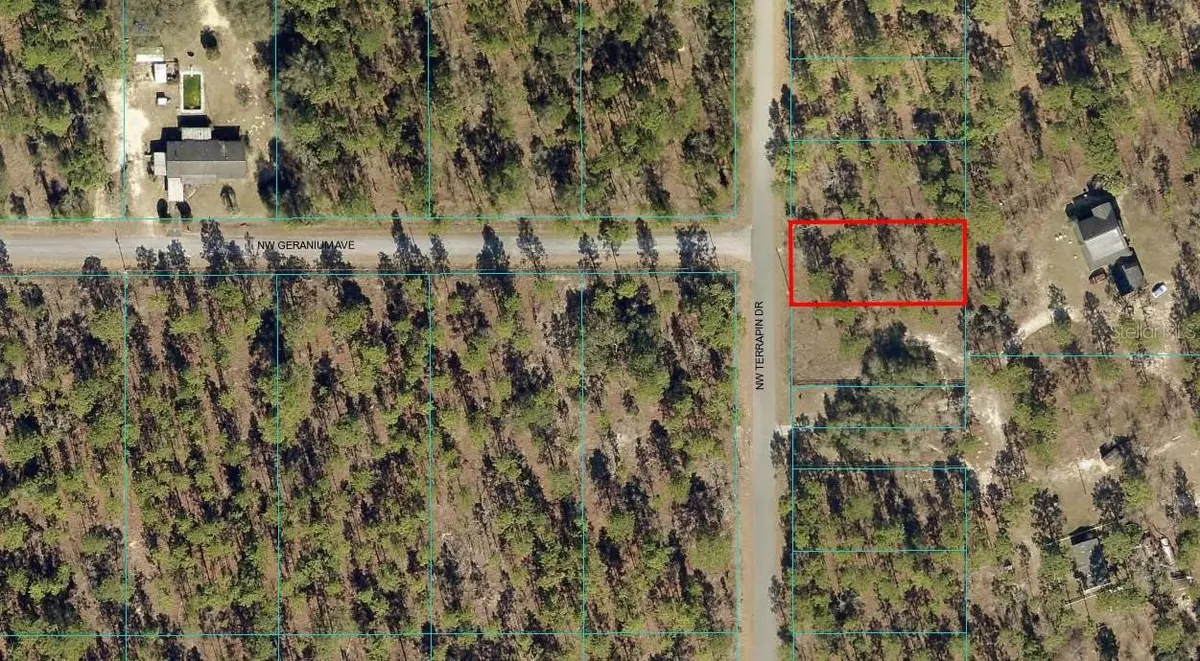 Dunnellon, FL 34431,00 NW TERRAPIN DR