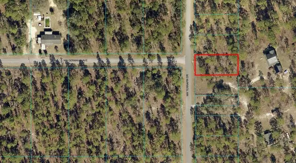 00 NW TERRAPIN DR, Dunnellon, FL 34431