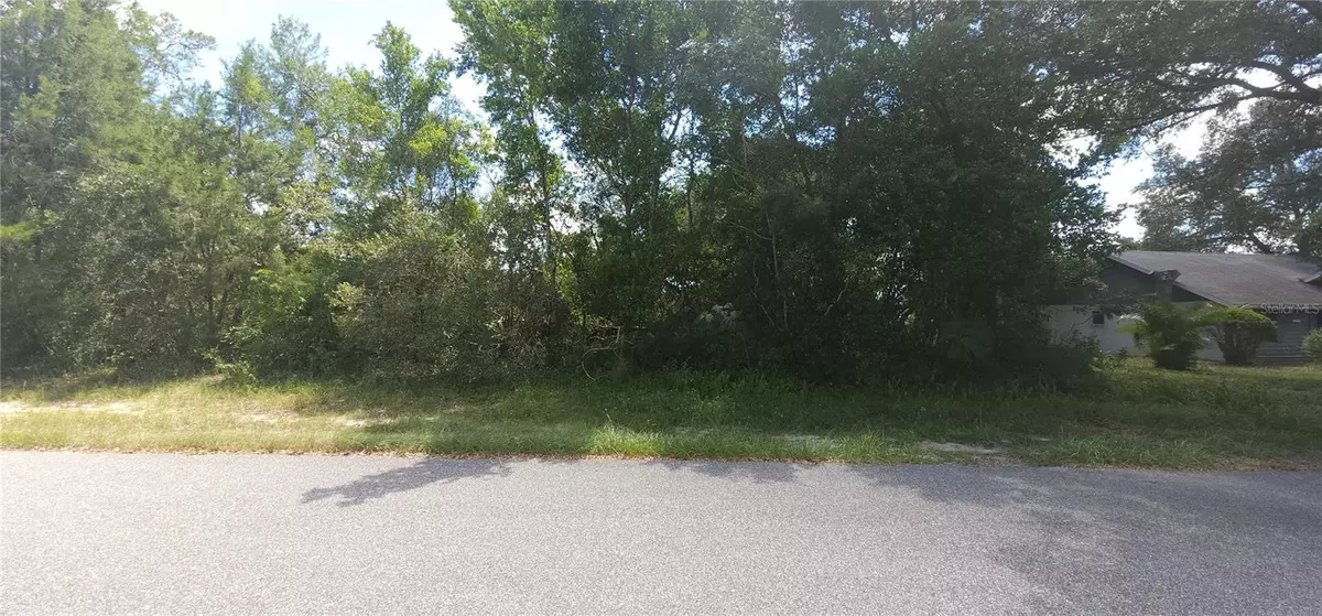 Ocala, FL 34473,TBD SW 156TH PL