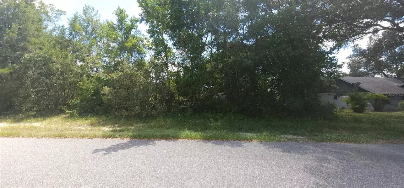 TBD SW 156TH PL, Ocala, FL 34473