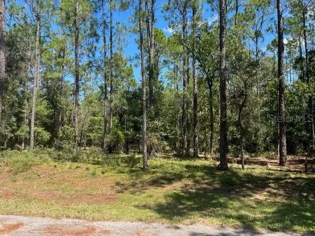 Dunnellon, FL 34431,00 SW 84TH LOOP