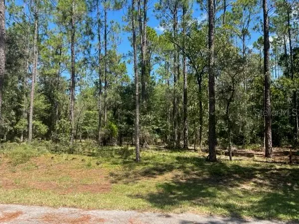 00 SW 84TH LOOP, Dunnellon, FL 34431