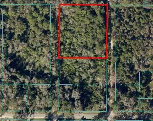 Summerfield, FL 34491,00 SE 63RD CT