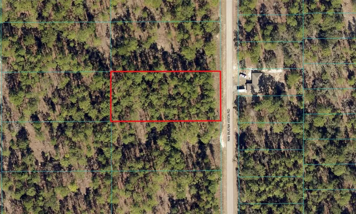 Dunnellon, FL 34431,00 NW BUENA VISTA RD