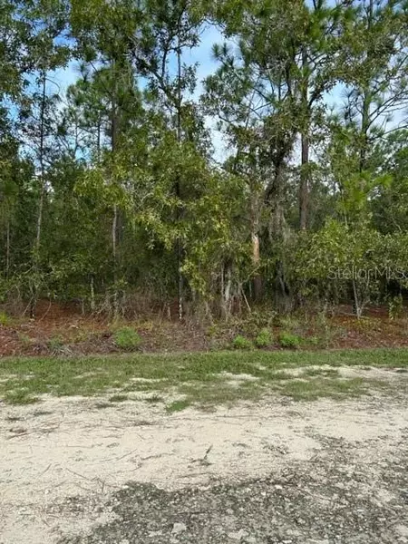 SW 125TH TER, Dunnellon, FL 34432