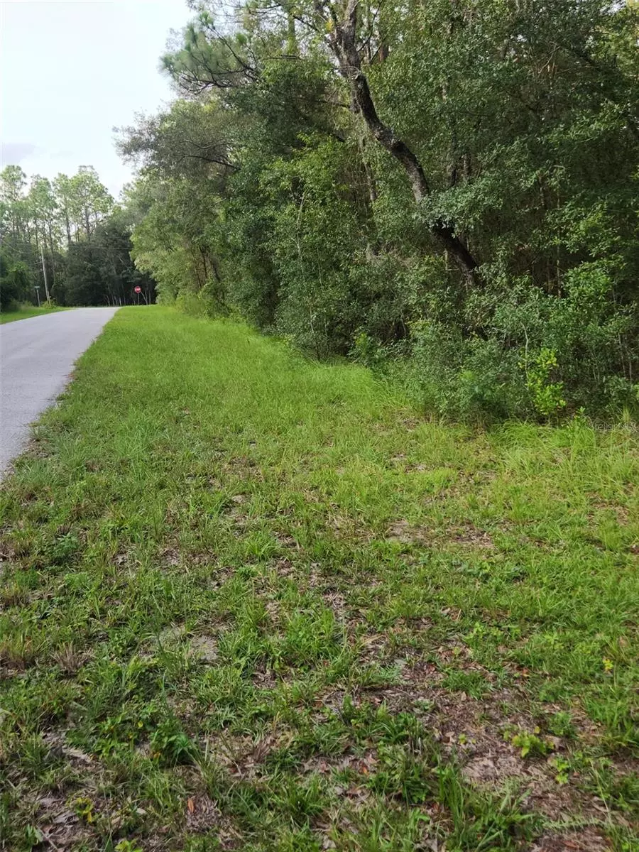 Hernando, FL 34442,1603 SW OREGON CT