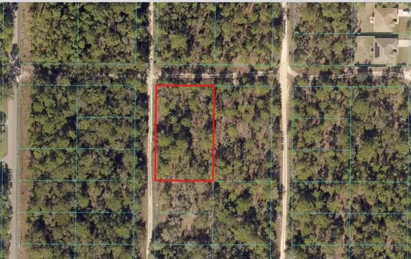 TBD SW 159TH AVE, Ocala, FL 34481