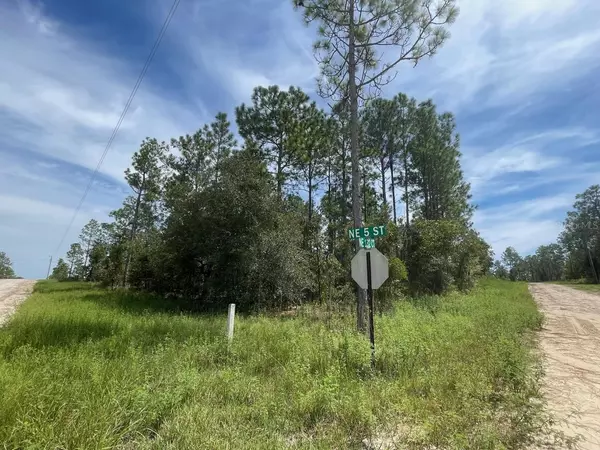 Williston, FL 32696,TBD NE 5TH ST #12