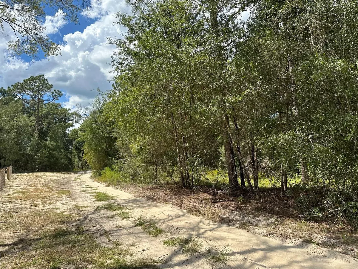 Dunnellon, FL 34432,00 SW 93 PL