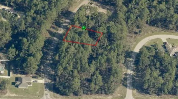 Citrus Springs, FL 34434,7931 N JANEAUX DR