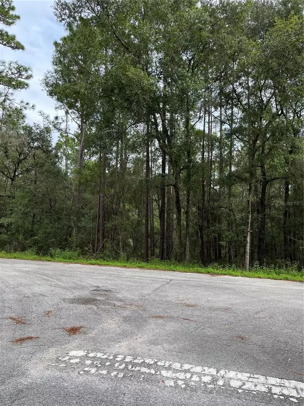 Dunnellon, FL 34431,00 SW 50TH PL