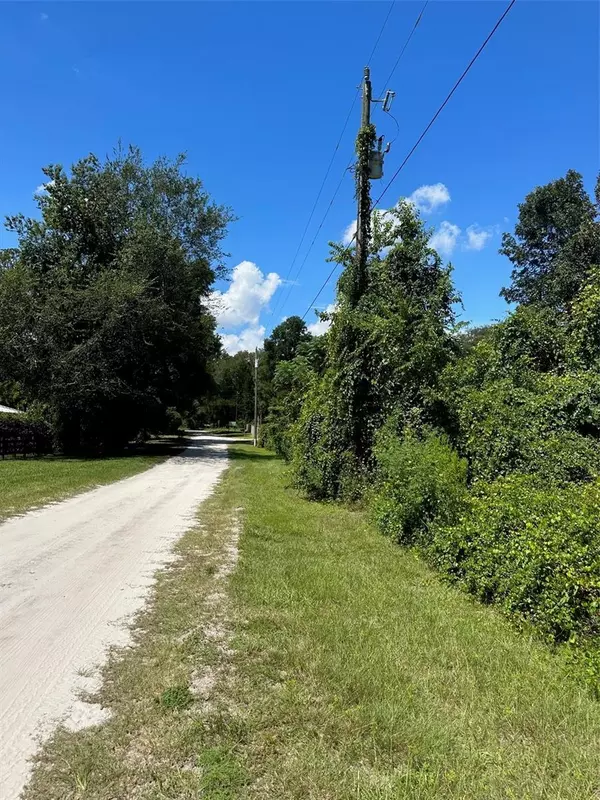 Summerfield, FL 34491,0 SE 147TH LN