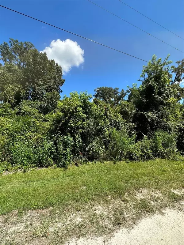 Summerfield, FL 34491,0 SE 147TH LN