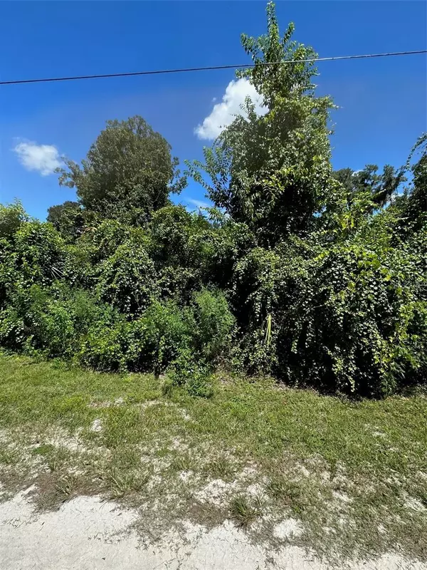 Summerfield, FL 34491,0 SE 147TH LN