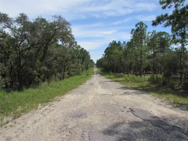 Dunnellon, FL 34431,Lot 21 SE 130TH CT