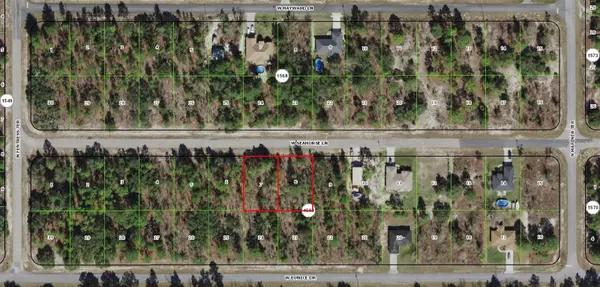 Citrus Springs, FL 34433,3466 W SEAHORSE LN