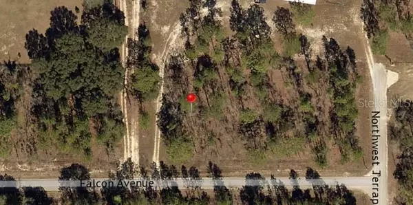 Dunnellon, FL 34431,Lot 31 NW FALCON AVE