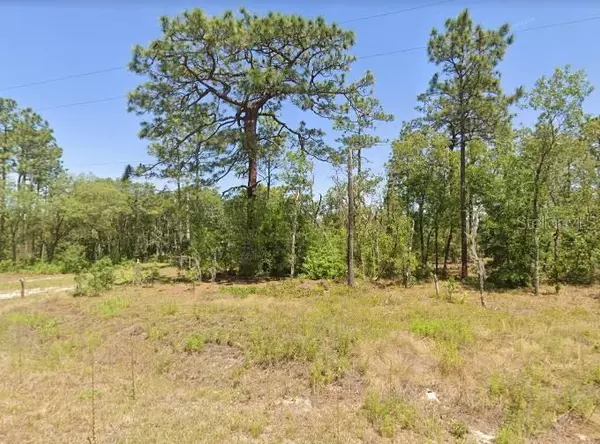 Dunnellon, FL 34431,Lot 31 NW FALCON AVE