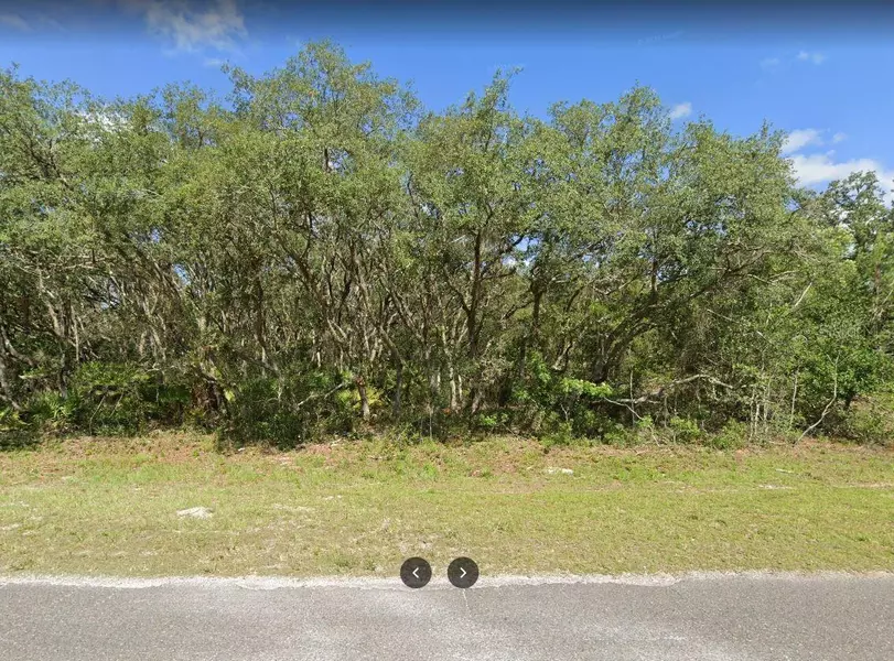 FISHER RD, Ocklawaha, FL 32179