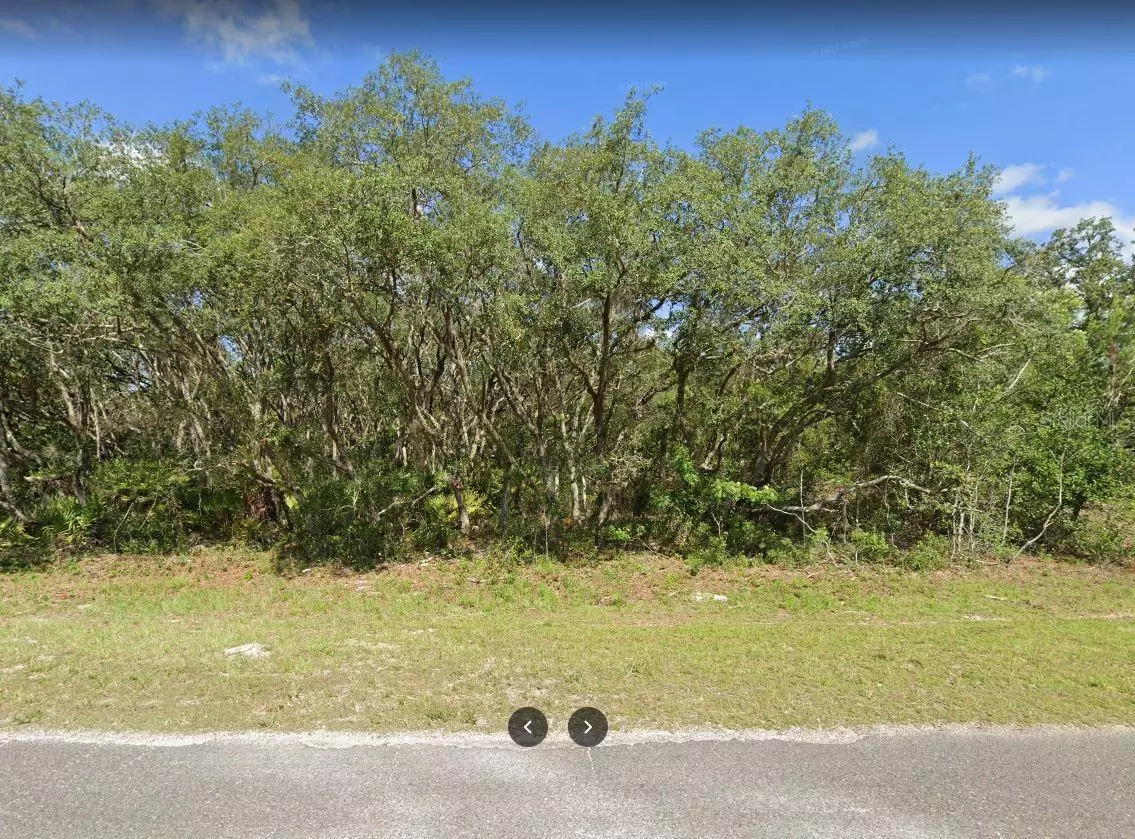 Ocklawaha, FL 32179,FISHER RD