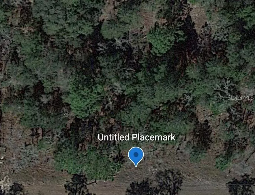 Dunnellon, FL 34431,TBD SW SEA CLIFF AVE