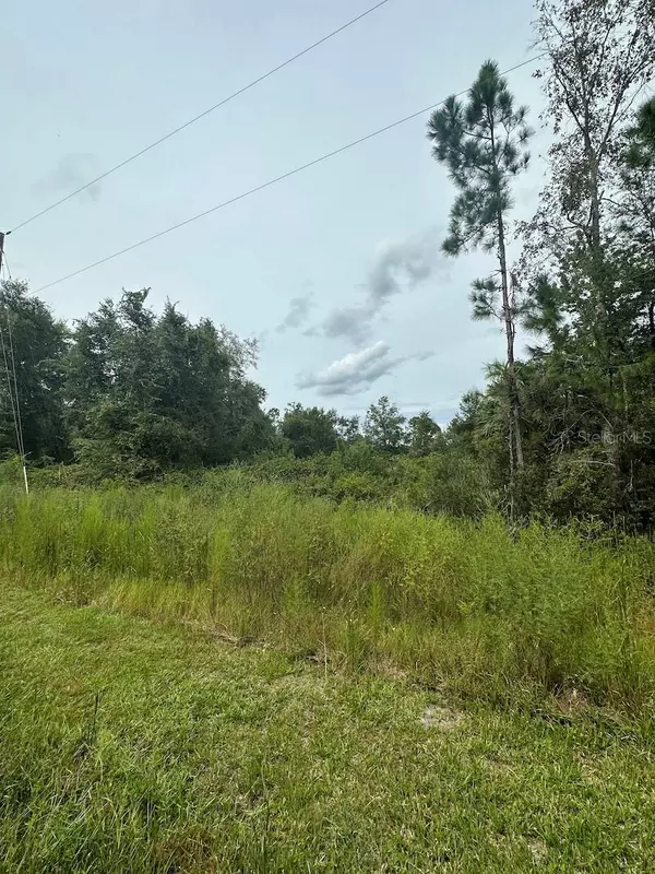 Fort Mc Coy, FL 32134,TBD NE 199TH STREET ROAD