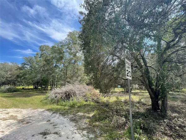 Dunnellon, FL 34432,TBD SW 140 AVE